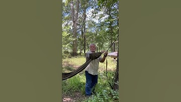 Hanging A Hammock | Gear Review #shorts