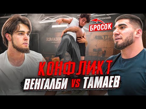 видео: Тамаев зарубился с Венгалби! Жесткий Конфликт. Забрал 7 млн