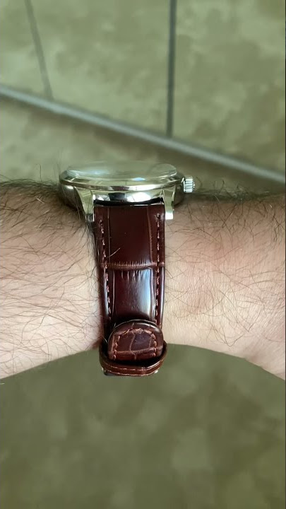 Grand seiko GMT elegance collection sbgm221 wrist roll