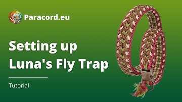 Paracord.eu | Setting Up Luna