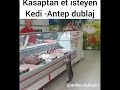 Kasaptan et isteyen kedi