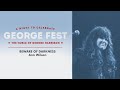 Ann wilson heart  beware of darkness live at george fest official live