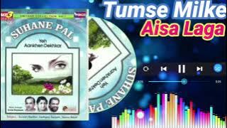 Tumse milke Aisa Laga { Parinda } Singar || suresh Wadkar and sadhana sargam