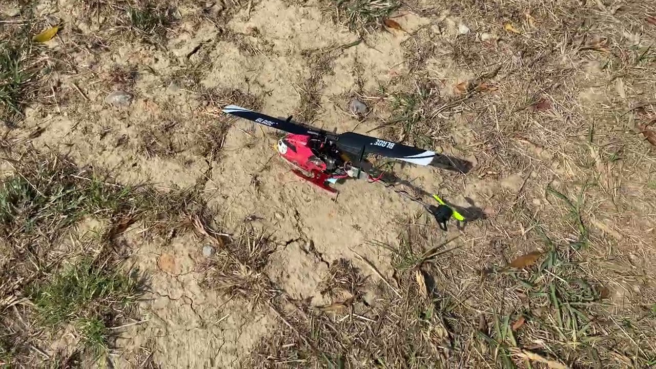 20260219 大年初三 大楓公園 HCP100S 亂翻鐘擺 4K