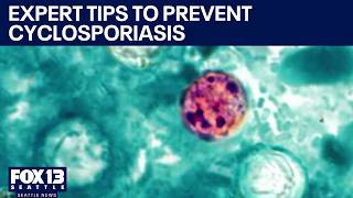 Tips for avoiding the cyclosporiasis parasite FOX 13 Seattle