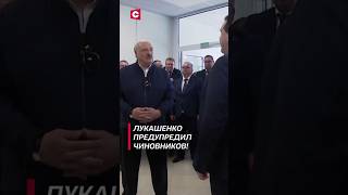 Лукашенко: Не должно быть излишеств и дворцов! #shorts #лукашенко #новости #политика #беларусь