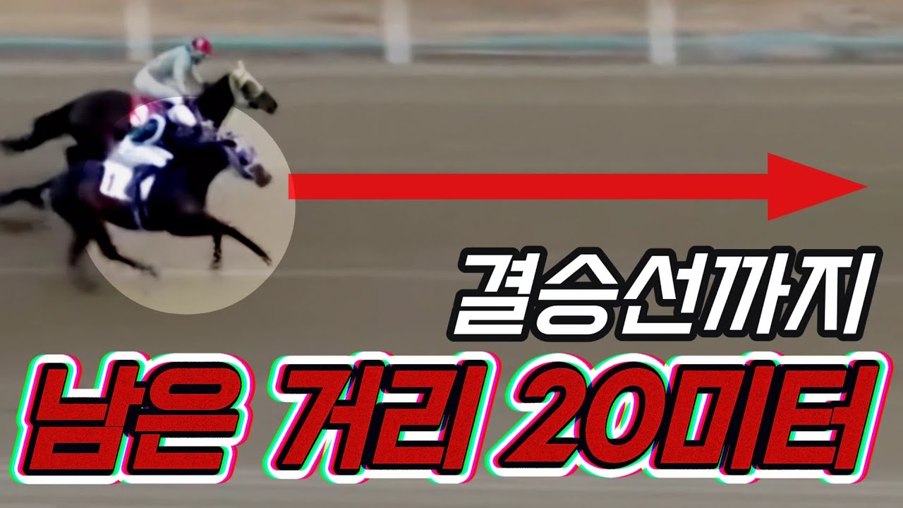 결승선까지 단 네 걸음! 선두를 빼앗긴 경주마는 우승을 되찾을 수 있을까. 전지적망아지시점