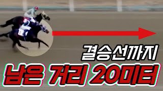 결승선까지 단 네 걸음! 선두를 빼앗긴 경주마는 우승을 되찾을 수 있을까. 전지적망아지시점