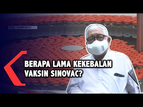 Video: Berapa lama vaksin covid bertahan?