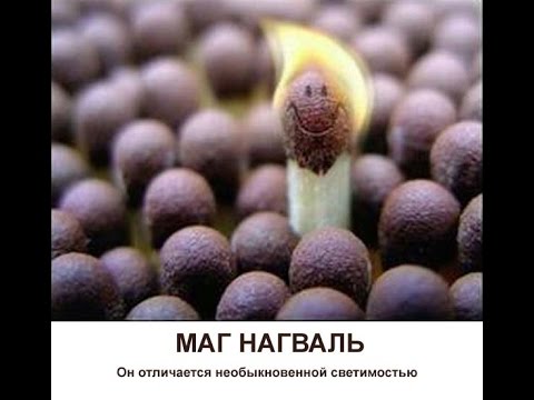 Кто такой Нагваль?