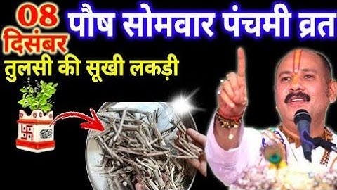 08 दिसंबर पंचमी व्रत: तुलसी की सुखी लकड़ी का चमत्कारी उपाय | Pradeep Ji Mishra