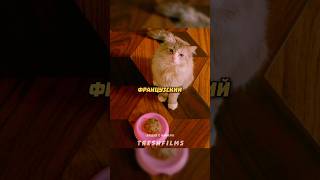 Придётся запечь котейку в духовке 🙀 #фильм #сериал #моменты #shorts