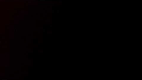 تلاوة من القارئ محمد فتحي عمارة .