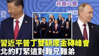 金磚國家組織即將瓦解？普丁怕被逮捕不敢去巴西，習近平有何難言之隱不參加？想要對抗西方國家去美元化的金磚組織，在中共經濟破產之際，烏合之眾能久乎？｜2025.6.26【非童凡響】