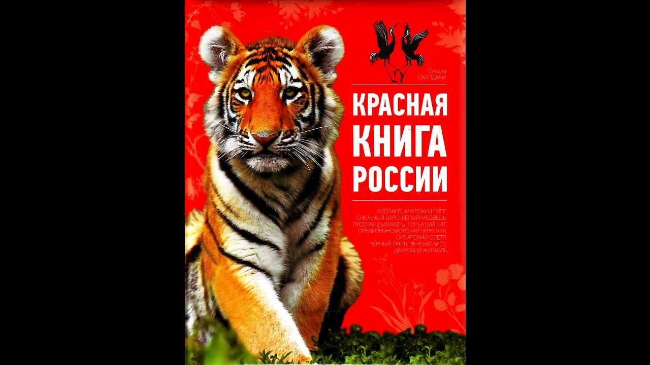 Знакомство С Красной Книгой России