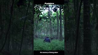 A Jungle That Hunts Back | Predators 2010 – The Trap Is Set 🌿🔪💀