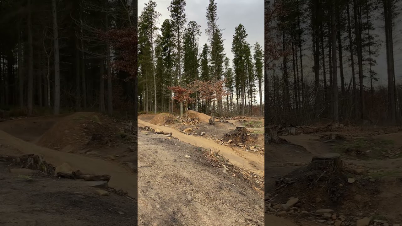 Large double/ gap grenoside woods (steel city DH)