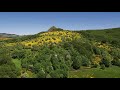 Le gnie des abeilles  episode 14  en ardche mont gerbier de joncs