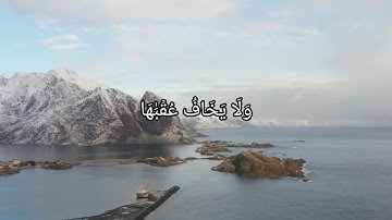 سورة الشمس كاملة | أحمد النفيس