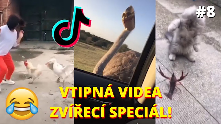 🤣VTIPNÁ VIDEA: Zvířecí speciál! 😻 kočky, psi a ostatní 🐶 Zkus se nesmát Challenge! TikTok 2020 [#8]