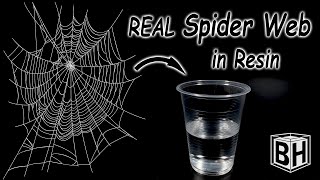 Casting a REAL Spider Web in resin…..can it be done???