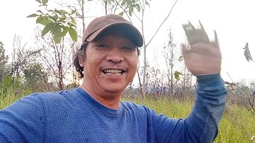 apail balik mikat serindit Port keras tompinai.