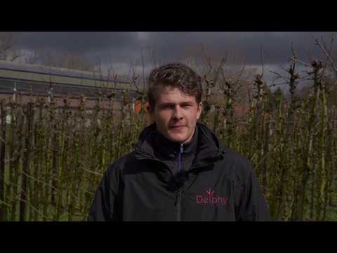 Video: Wortelsnoei - Snoei van wortels van wortelgebonde plante
