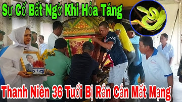 Xảy Ra Sự Cố Khi Đưa Tiễn Thanh Niên 36 Tuổi Bị Rắn Cắn Mất Mạng 