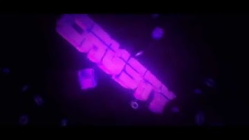 [#28][CONTEST ENTRY] - Crusty (By FrazeArtz&CMFX)