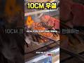 10CM 두꺼운(Thick) 우설(牛タン)을 판매(sale)하는 야키니쿠(焼肉) 전문식당을 소개합니다 ... 배고픈 맛집일기(배고픈 맛집)🤭