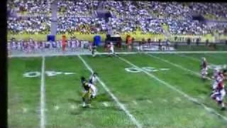 Madden NFL 10 Amazing Plays IV: You Catch It, You Get Hit, You Lose It- Brian's Amazing Interception