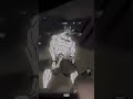 Sukuna vs Mahoraga🔥☠️