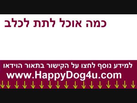 וִידֵאוֹ: כמה זמן אסטרסטר נמשך לכלבים וחתולים?