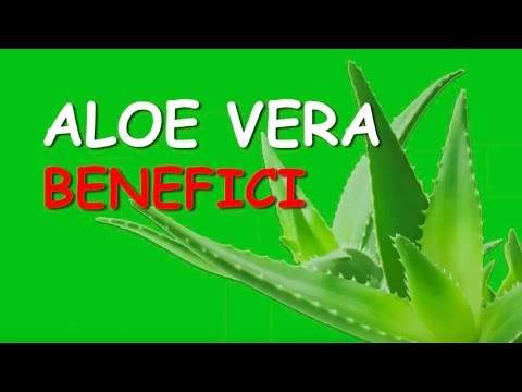 aloe pura da bere