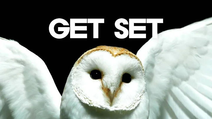 Deftones - Diamond Eyes [Official Lyric Video]