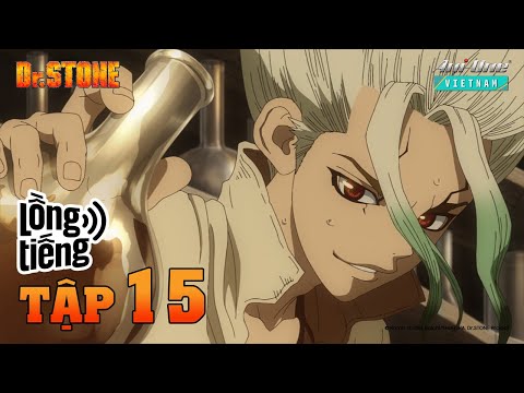 Dr. Stone