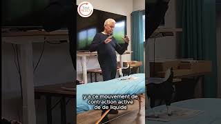Total Reset - Walter Villiger - Docteur vétérinaire - Soins animaux, mouvement respiratoire primaire