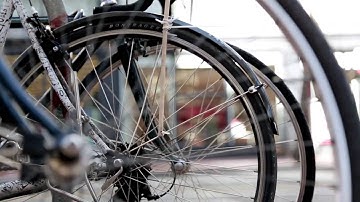 Faraday Effect- whole foods