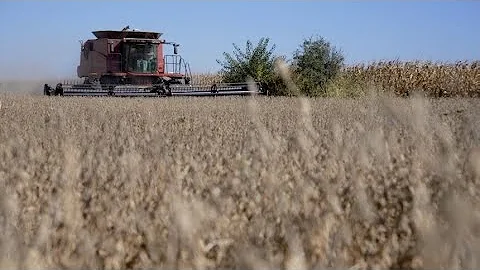 This Week in Agribusiness, November 26, 2022