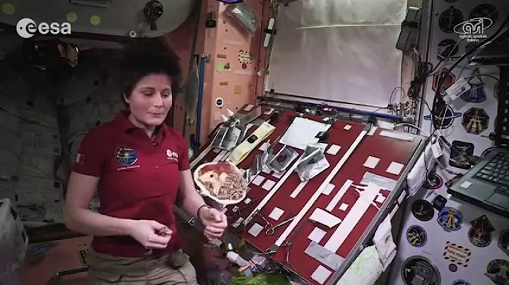 Cooking in space: mackerel, quinoa and leek cream ...