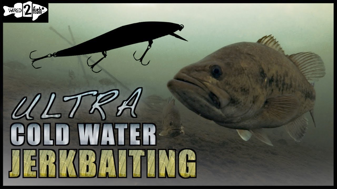 Jerkbait Fishing Tips for Ultracold Water Bass