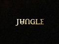 JungleVEVO Live Stream