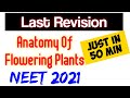"Anatomy Of Flowering Plants"In Just 50 Minutes🔥🔥| Neet 2021: Final Revision