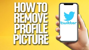 How To Remove Profile Picture On Twitter Tutorial