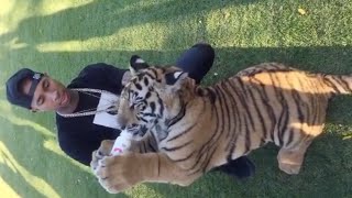 Tyga Playing With A TIGER | Full Video