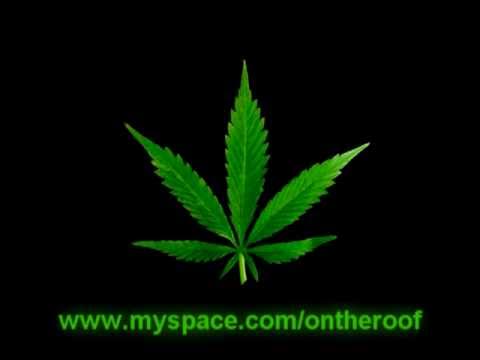 The Marijuana song (Hallelujah parody) - YouTube