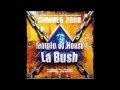 Capture de la vidéo La Bush Summer 2008 - Samuel Sanders & Manu Kanton