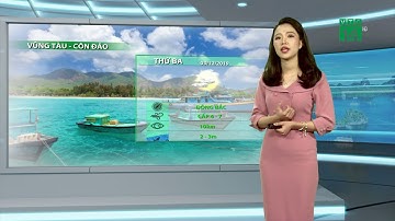 Thời tiết biển 03/12/2019: Không khí lạnh gây biển động mạnh| VTC14