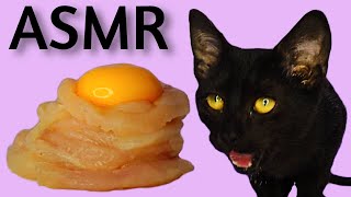 Cat eating Raw Chicken and Egg Yolk ASMR