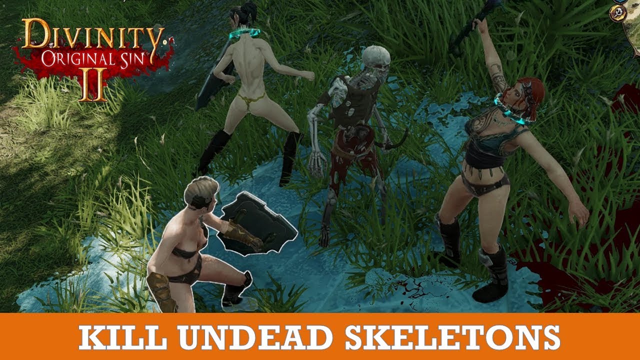 Hollow Marsh: Fight With Undead Skeletons (Divinity Original Sin 2)